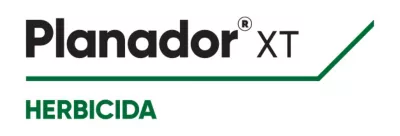 Planador XT - 0